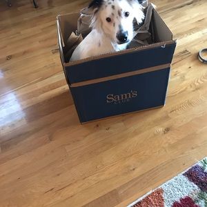 Meet your Posher, Alice